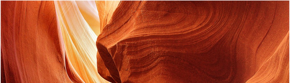 Musselburgh Camera Club