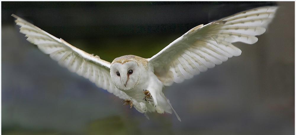 Musselburgh Camera Club