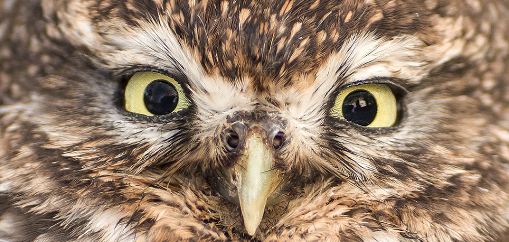 Musselburgh Camera Club