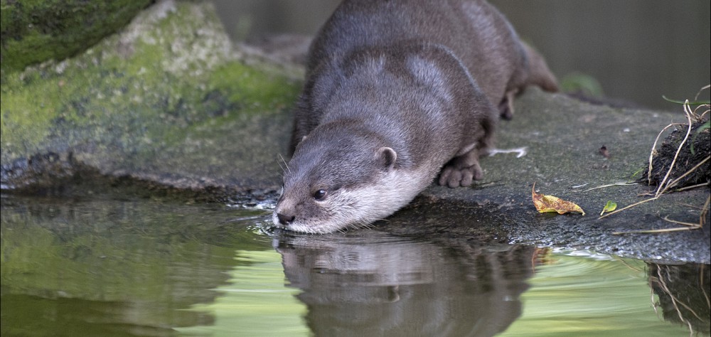 Musselburgh Camera Club