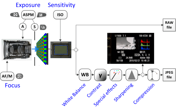 The flow of information through a digital camera.
