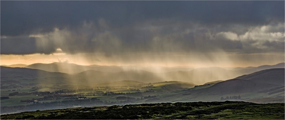 Musselburgh Camera Club